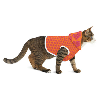 Dog & Cat Hoodie - Hearts A-Lot Orange - Digital Art
