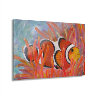 Acrylic Prints - Clown Fish - Acrylic Painting DeCourcy Design